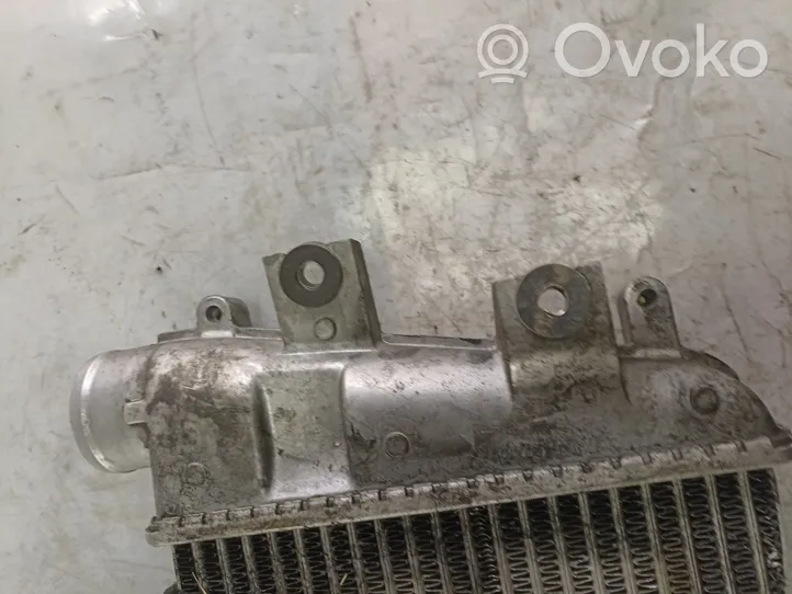 Nissan Patrol Y61 Chłodnica powietrza doładowującego / Intercooler 020701