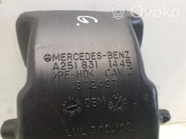 Mercedes-Benz R W251 Inny elementy tunelu środkowego A2518311445