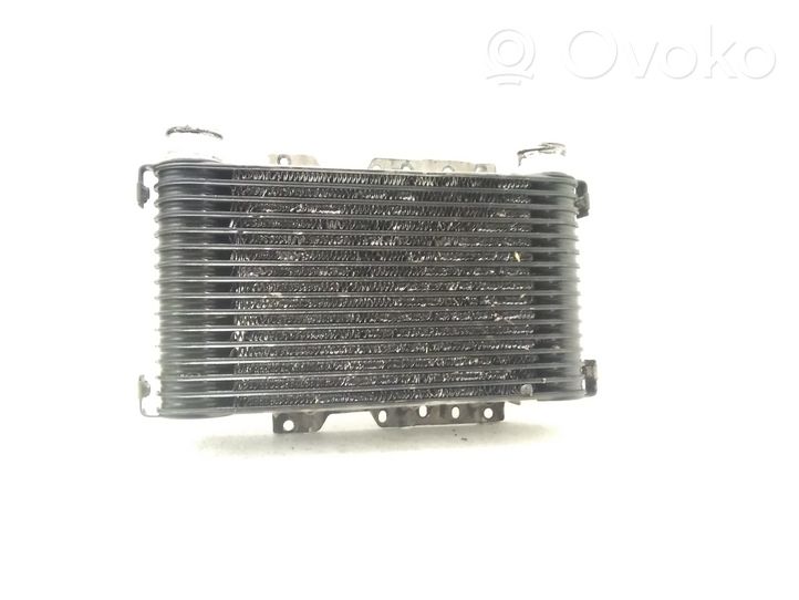 Mitsubishi L200 Radiatore intercooler 