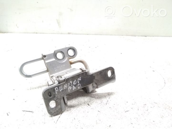 Volkswagen Phaeton Front door lower hinge 3D4831412B