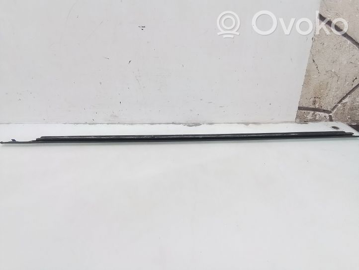 Nissan Note (E11) Front door glass trim molding 