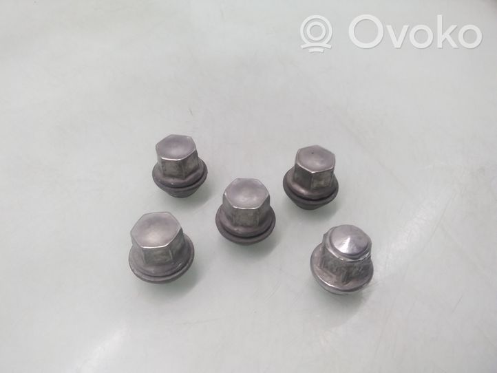 Ford Focus Nuts/bolts 