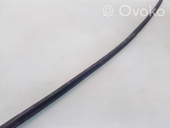 Opel Zafira B Rubber seal rear door window/glass 