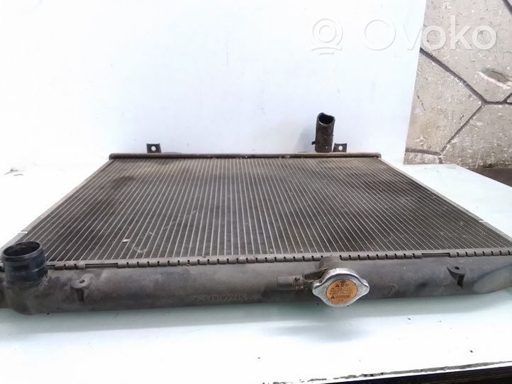 Ford Maverick Dzesēšanas šķidruma radiators 