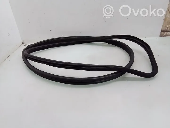 Volvo S60 Front door rubber seal 