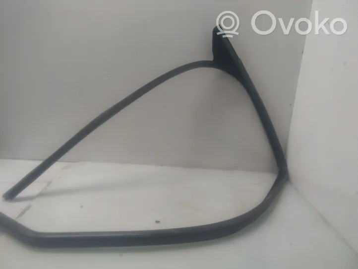 Citroen Berlingo Front door rubber seal 