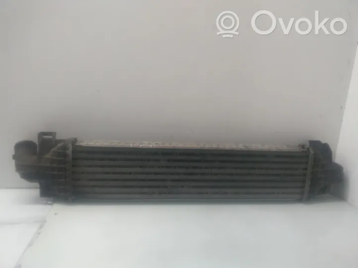 Ford Focus Chłodnica powietrza doładowującego / Intercooler 