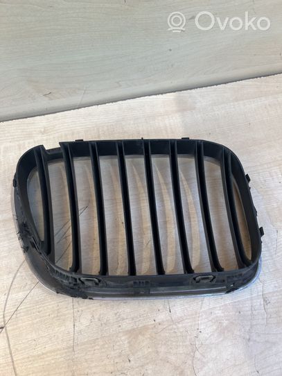 BMW X5 E53 Grille de calandre avant 51138247673