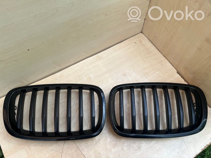 BMW X6 E71 Front grill 7305591