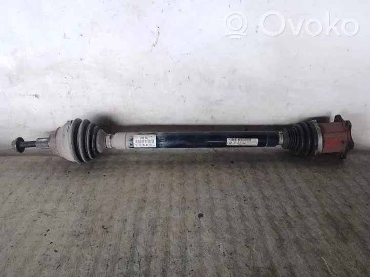 Volkswagen PASSAT Drive shaft (set) 1K0407272RG