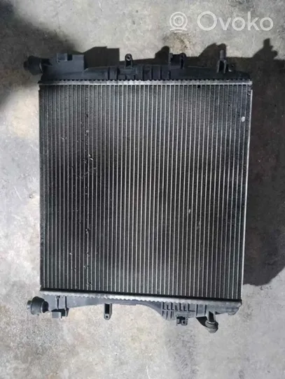 Renault Kangoo I Coolant radiator 8200384071
