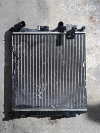 Renault Kangoo I Coolant radiator 8200384071