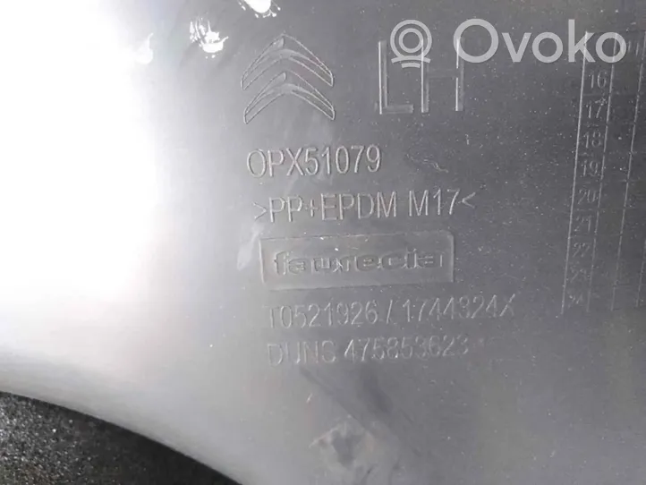 Citroen C3 Boczki / Poszycie drzwi tylnych OPX51075