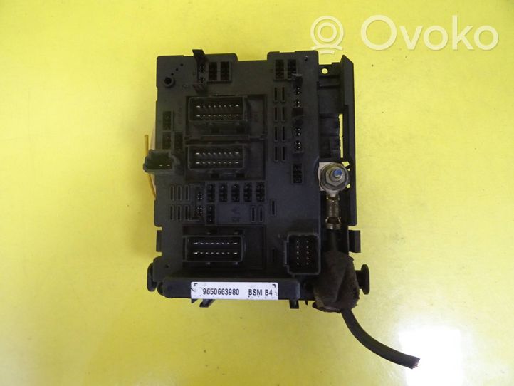 Peugeot 307 Set scatola dei fusibili 9650663980