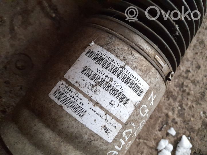 Audi Q7 4L Ammortizzatore/sospensione pneumatica 7L8616019A