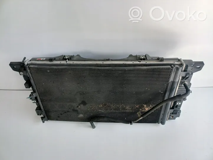 Ford F150 Dzesēšanas šķidruma radiators 