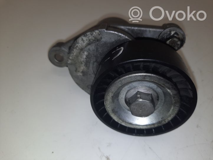 Citroen C4 II Picasso Napinacz paska alternatora E5083A111360