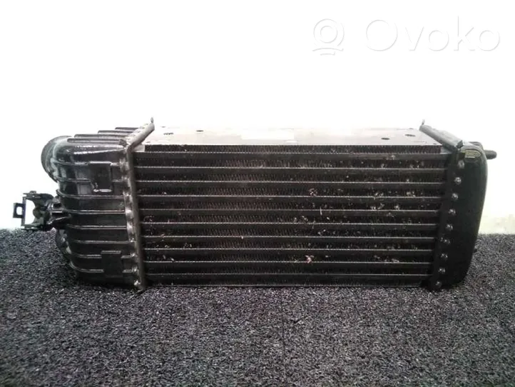 Peugeot 207 Radiatore intercooler 9651184880