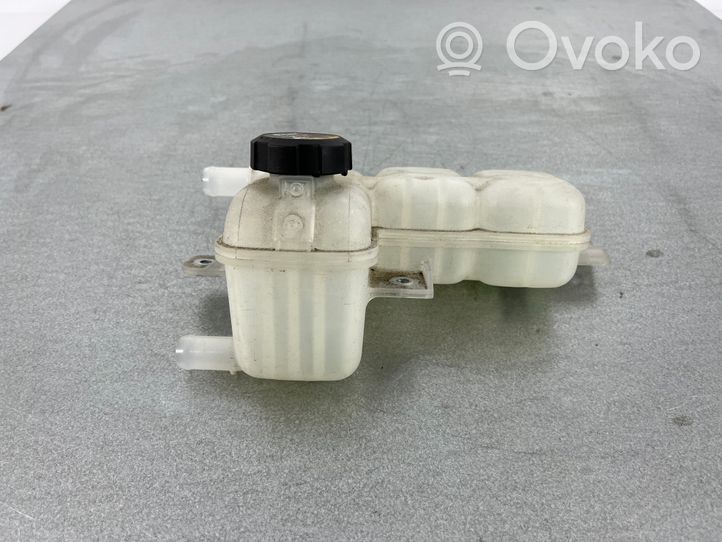 Hyundai Ioniq Serbatoio di compensazione del liquido refrigerante/vaschetta 25430G2800