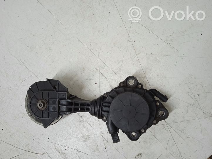 BMW 1 F20 F21 Napinacz paska wielorowkowego / Alternatora 759883280