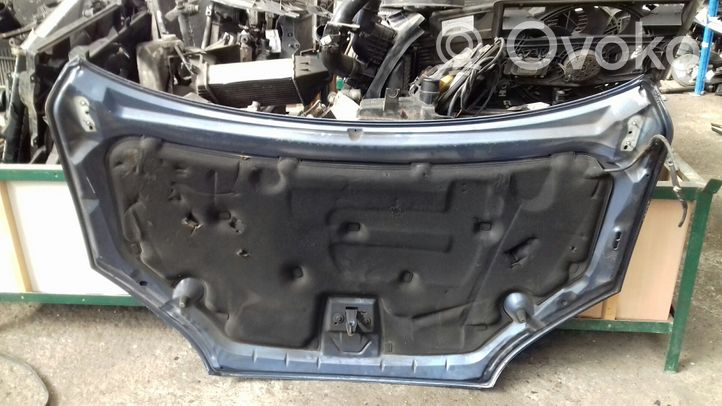 Seat Cordoba (6L) Vano motore/cofano 6L0823031D