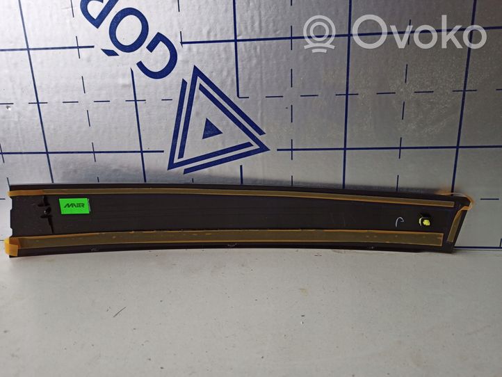 Toyota Auris E180 Verkleidung Türfenster Türscheibe hinten 7575602010