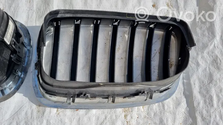 BMW X6 E71 Front grill 7171396