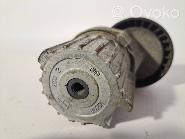 Volkswagen PASSAT B7 Tensor de correa del alternador 028903315A