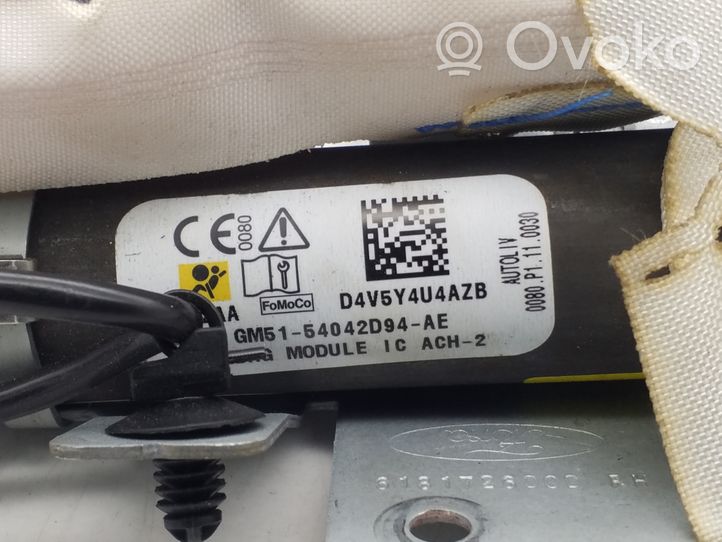 Ford Focus ST Airbag del techo GM5154042D94AE