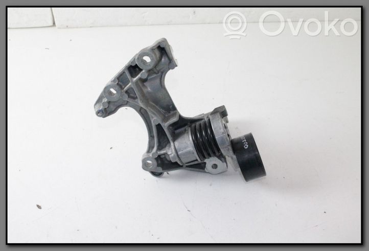 Nissan Qashqai Generatoriaus diržo įtempėjas 117104394R