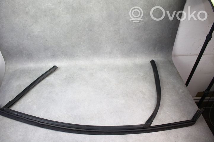 Ford Fusion II Rubber seal front coupe door 
