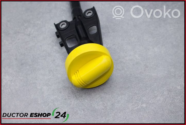 Renault Clio II Oil level dip stick 8200355347