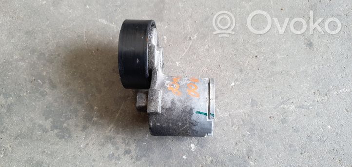 Dacia Duster Generator/alternator belt tensioner 