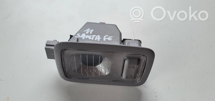 Hyundai Santa Fe Rear door interior light 