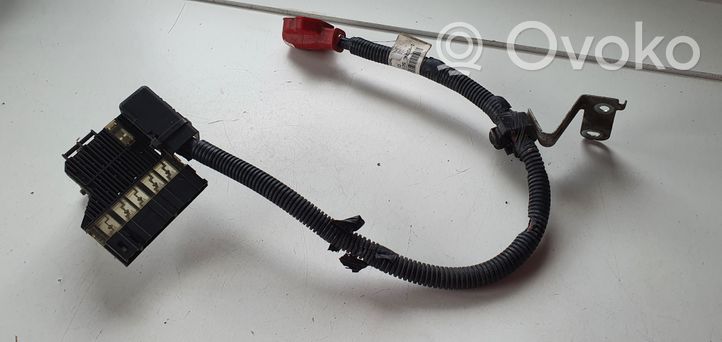 Nissan Leaf I (ZE0) Faisceau câbles positif 