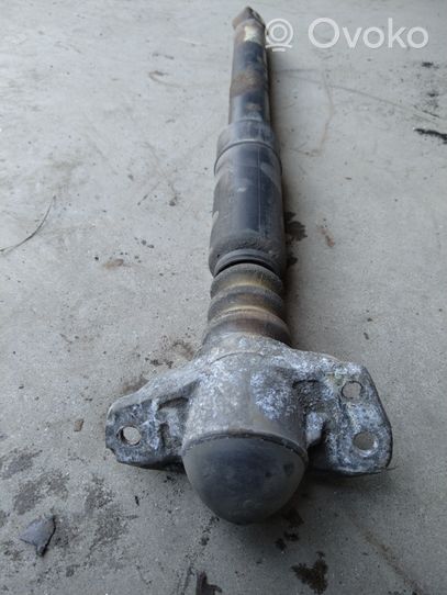 Volkswagen Tiguan Rear shock absorber/damper 