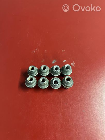 Chrysler Pacifica Nuts/bolts 40mm 