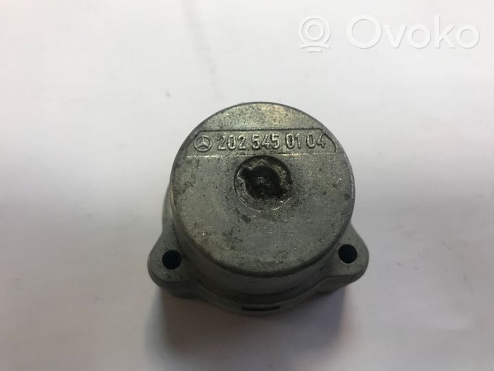 Mercedes-Benz C W202 Contatto blocchetto accensione 2025450104