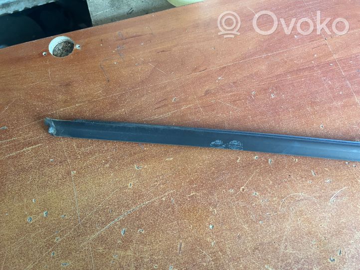 Volvo S60 Front door glass trim molding 