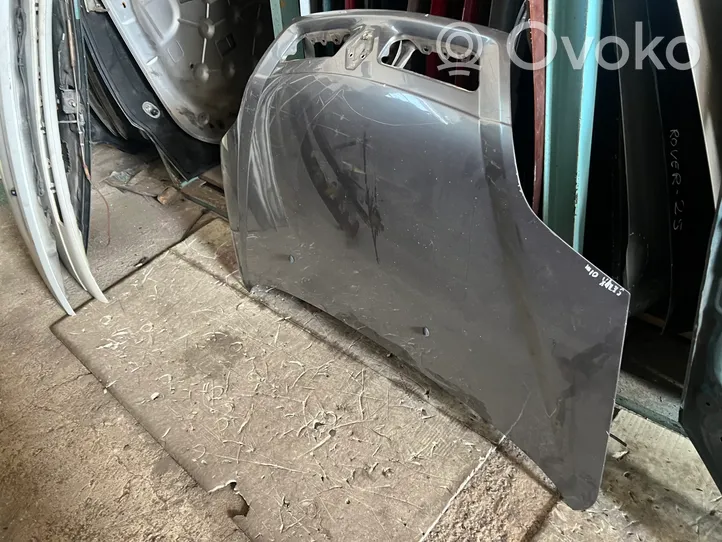 Renault Scenic I Engine bonnet/hood 