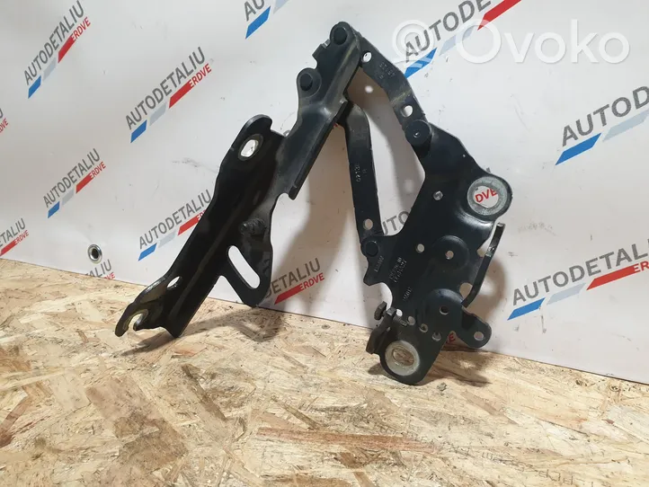 BMW 1 F20 F21 Cerniere del vano motore/cofano 7336700