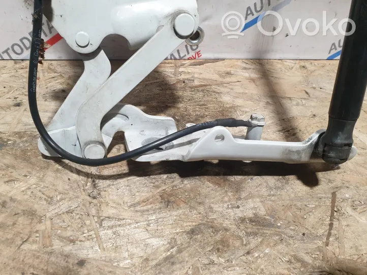 BMW X6 E71 Cerniere del vano motore/cofano 7208628