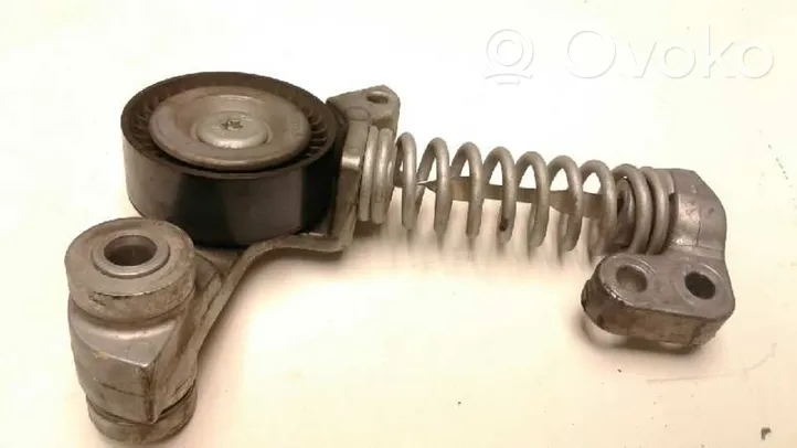 Volvo V40 Tendicinghia generatore/alternatore 