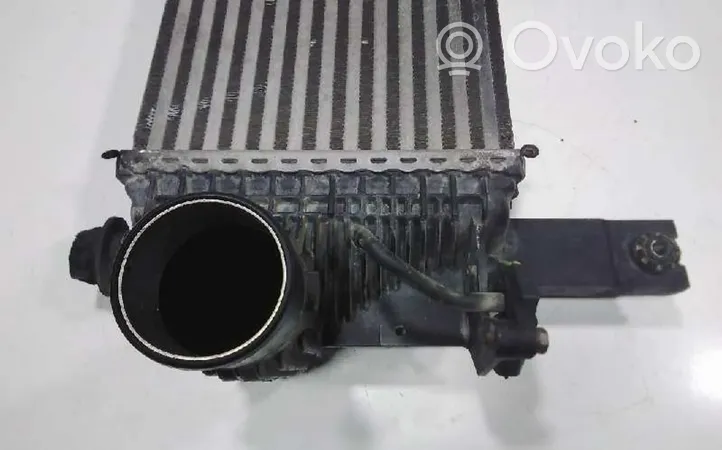 Nissan Pathfinder R51 Chłodnica powietrza doładowującego / Intercooler V4454002