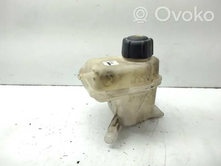 Nissan Qashqai Vaso di espansione carburante 21711JD50B