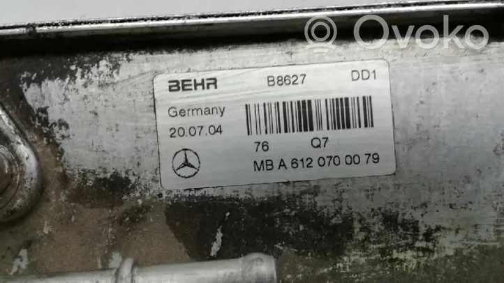 Mercedes-Benz ML W163 Radiatore dell’olio del motore 6120700079