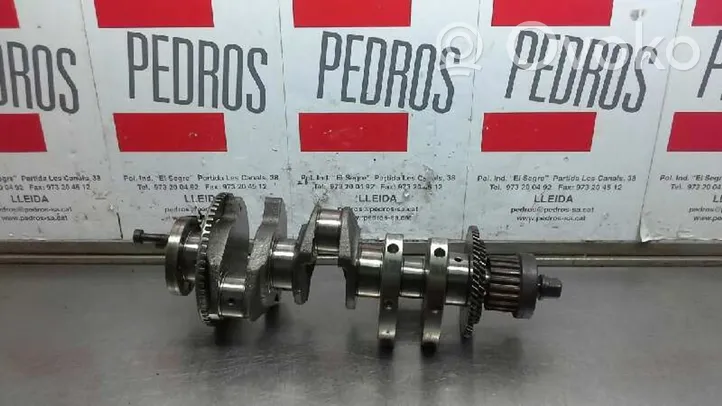 Hyundai Accent Crankshaft 