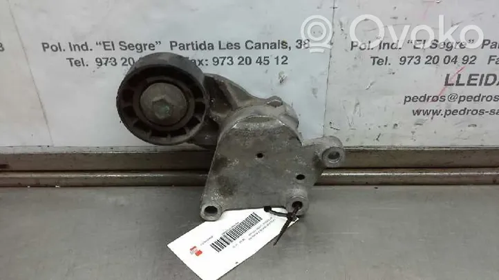 Citroen C3 Pluriel Tendicinghia generatore/alternatore 