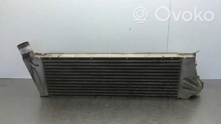 Renault Scenic RX Intercooler radiator 8200115540