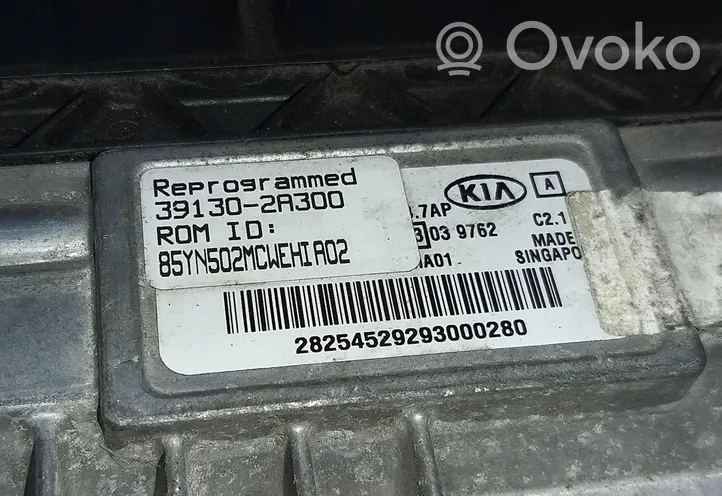 KIA Venga Unité de commande, module ECU de moteur 39130-2A300